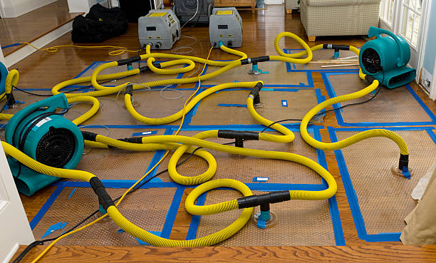 Professional Crawl Space Water Removal technician working in Tijeras, NM